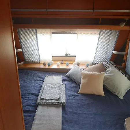 Przyczepa Bluecamp Na Molosurf W Jastarni