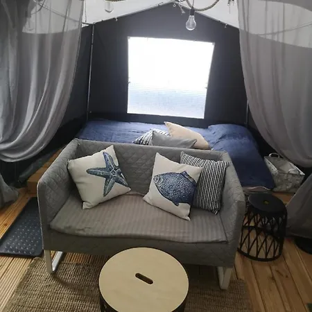 Przyczepa Bluecamp Na Molosurf W Jastarni Jastarnia
