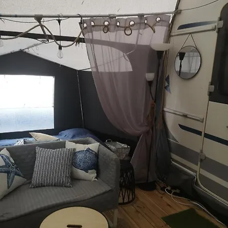 Przyczepa Bluecamp Na Molosurf W Jastarni
